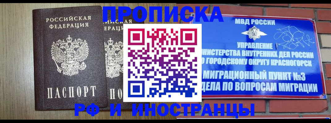 прописка в квартире в Курской области